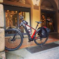 Bicicletta ebike Trek