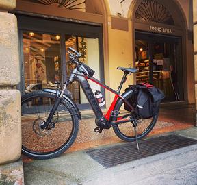 Bicicletta ebike Trek