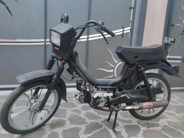 Atala Califfone, Gio, e CERCHI in Lega