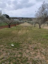 Terreno - Caltagirone