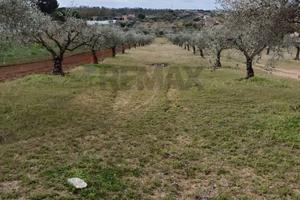Terreno - Caltagirone