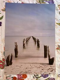 Poster/ stampa 50x70 cm