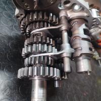 Cambio Aprilia RS 250