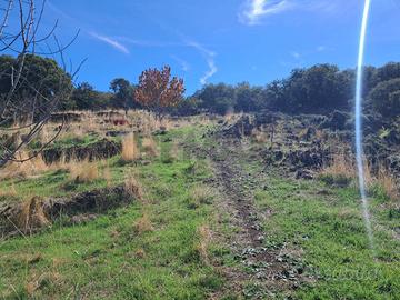 Terreno - Santa Maria di Licodia