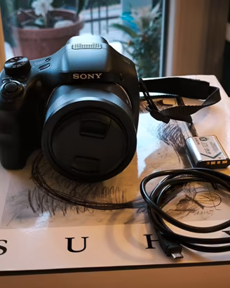 Sony HX350