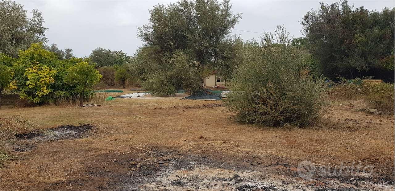 Terreno agricolo - Vista 4