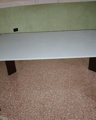 Tavolo 160x60 in vetro con piedi foderati di pelle