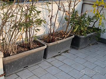 3 vasi grigi in rattan