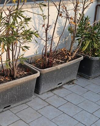 3 vasi grigi in rattan
