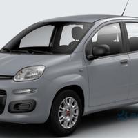 FIAT PANDA 312_, 319_ 2012 - > 1.2 LPG 169 A4.000