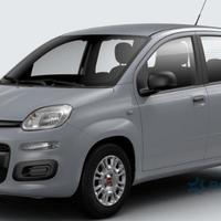 FIAT PANDA 312_, 319_ 2012 - > 1.2 LPG 169 A4.000 