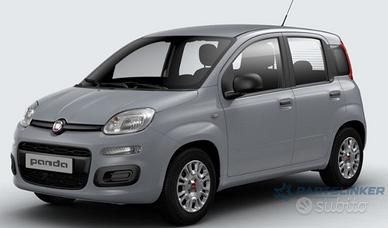 FIAT PANDA 312_, 319_ 2012 - > 1.2 LPG 169 A4.000 