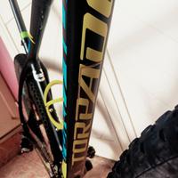 mtb torpado ribot carbonio 