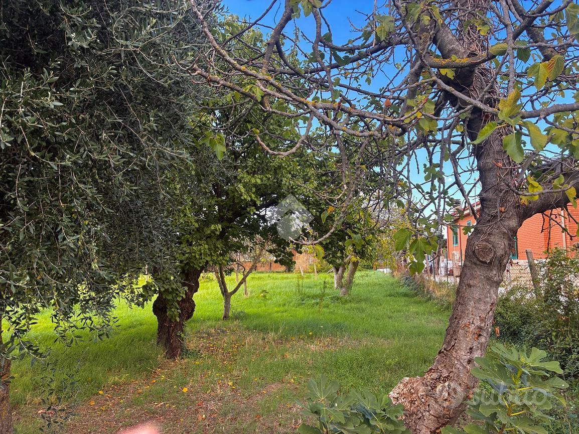 TER. RESIDENZIALE A ALBANO LAZIALE - Vista 5