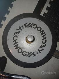 dischi 20kg technogym