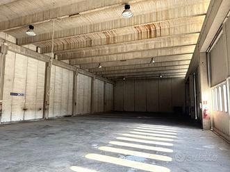 Capannone industriale con carroponti