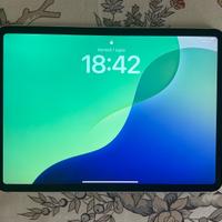 iPad Pro 11  wifi +Cellular 128gb 2a generazione