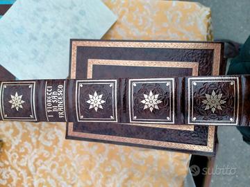 i Fioretti di san Francesco