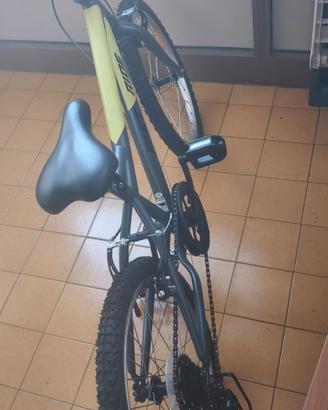 bicicletta