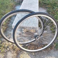 Ruote bici da corsa complete Ambrosio 