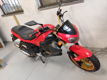 Gilera DNA