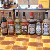 Collezione 13 liquori gamondi