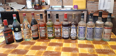 Collezione 13 liquori gamondi