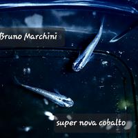 Medaka super nova cobalto