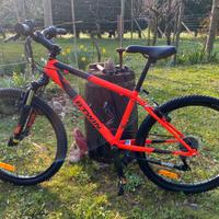 MTB da bambino 24