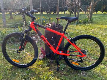 MTB da bambino 24