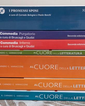 Libri scolastici 