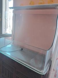 ACQUARIO X TARTARUGHE
