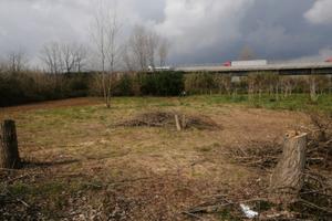 Terreno agricolo Marigliano