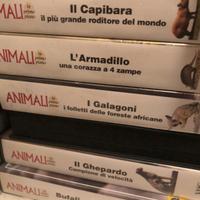 videocassette 