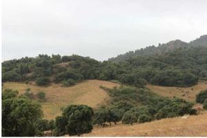 RGE 41/2006 Trib ENNA(EX NICOSIA) - LOTTO 6
