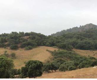 RGE 41/2006 Trib ENNA(EX NICOSIA) - LOTTO 6