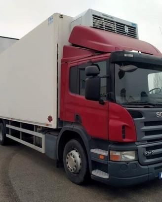 SCANIA P310 CV DB6X2 FRIGO 99TKM!!!!!!