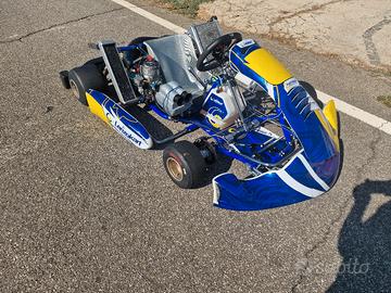 kart kz