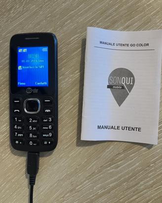 GSM Dual Band 2G