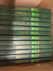 enciclopedia Larousse 