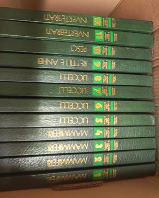 enciclopedia Larousse 