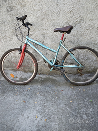 Montain bike (ragazze)