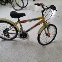Bicicletta da bambino