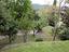Immagine 19
