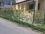 Immagine 19