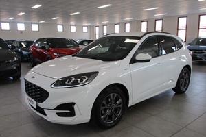 Ford Kuga 1.5 EcoBlue 120 CV aut. 2WD ST-Line