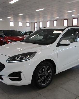 Ford Kuga 1.5 EcoBlue 120 CV aut. 2WD ST-Line