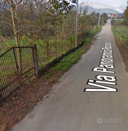 Terreno agricolo olivetato, 43000 € trattabili