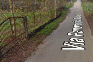 Terreno agricolo olivetato, 43000 € trattabili