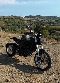 Benelli Leoncino 500 - 2022